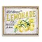 Stupell Industries Fresh Squeezed Lemonade Floater Framed Canvas Wall Art Design by Creatif Belle